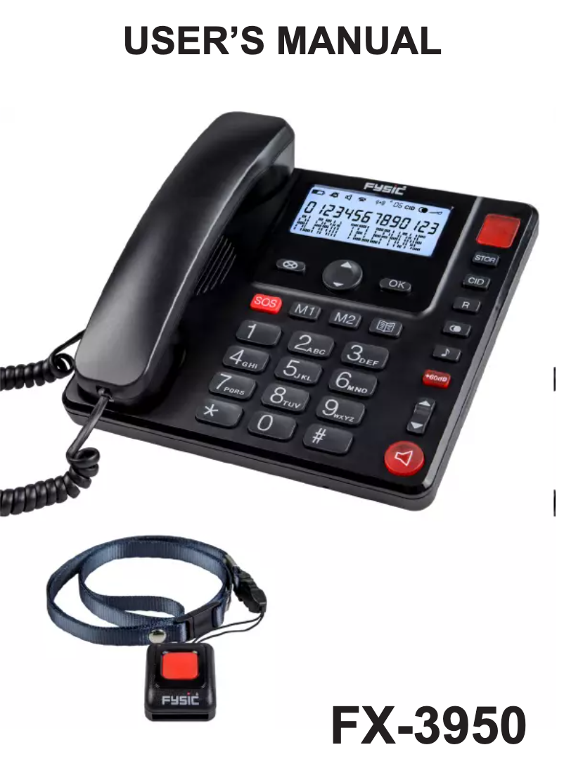 Page 1 of the manual User Manual Fysic FX-3950