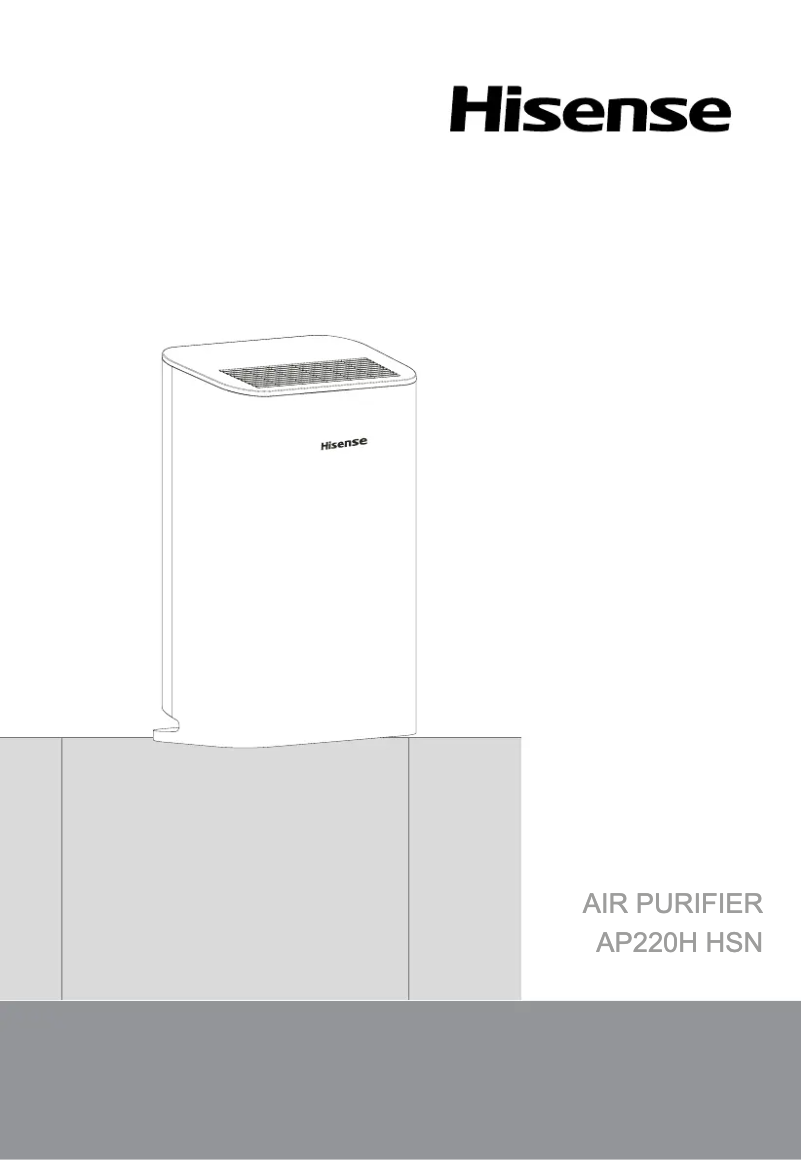 Page 1 de la notice Manuel utilisateur Hisense AP220H