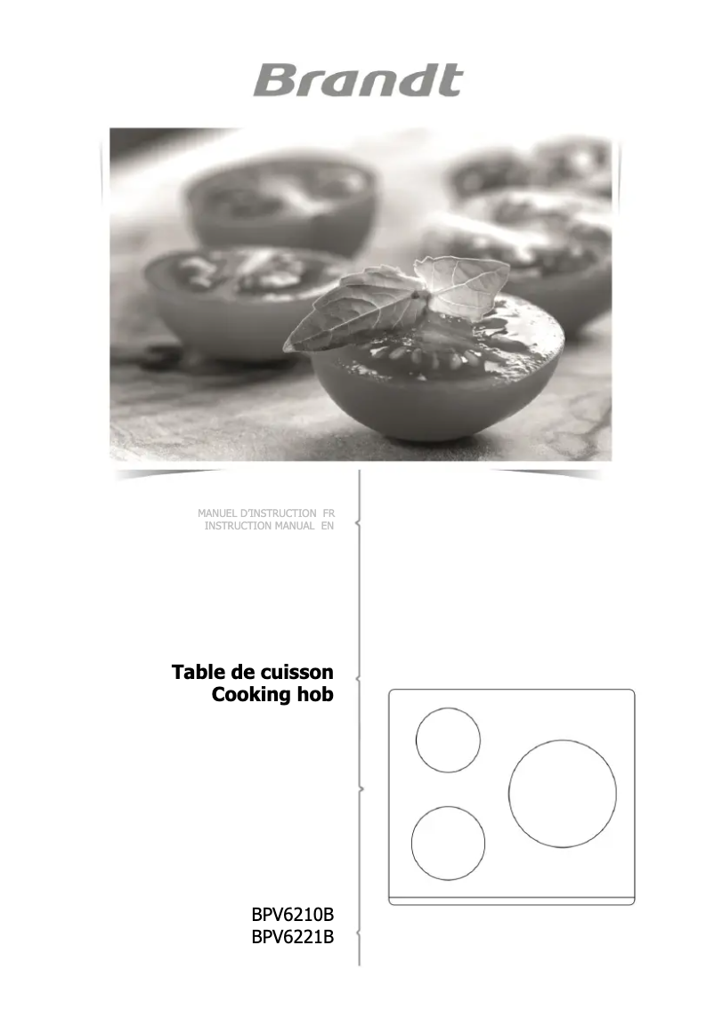 Page 1 de la notice Manuel utilisateur Brandt BPV6210B