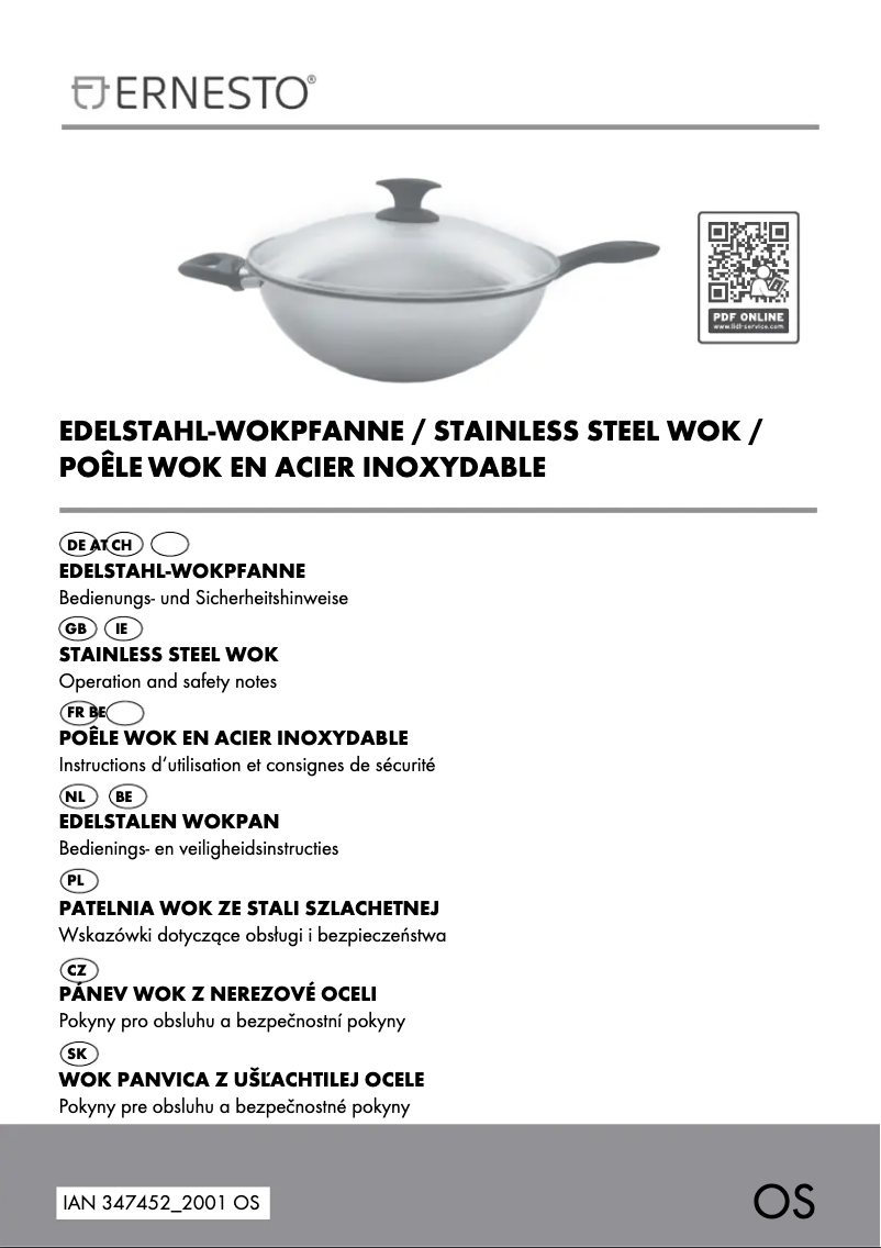 Page 1 de la notice Manuel utilisateur Ernesto IAN 347452