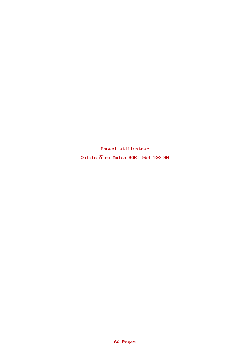 Page 1 de la notice Manuel utilisateur Amica BORI 954 100 SM