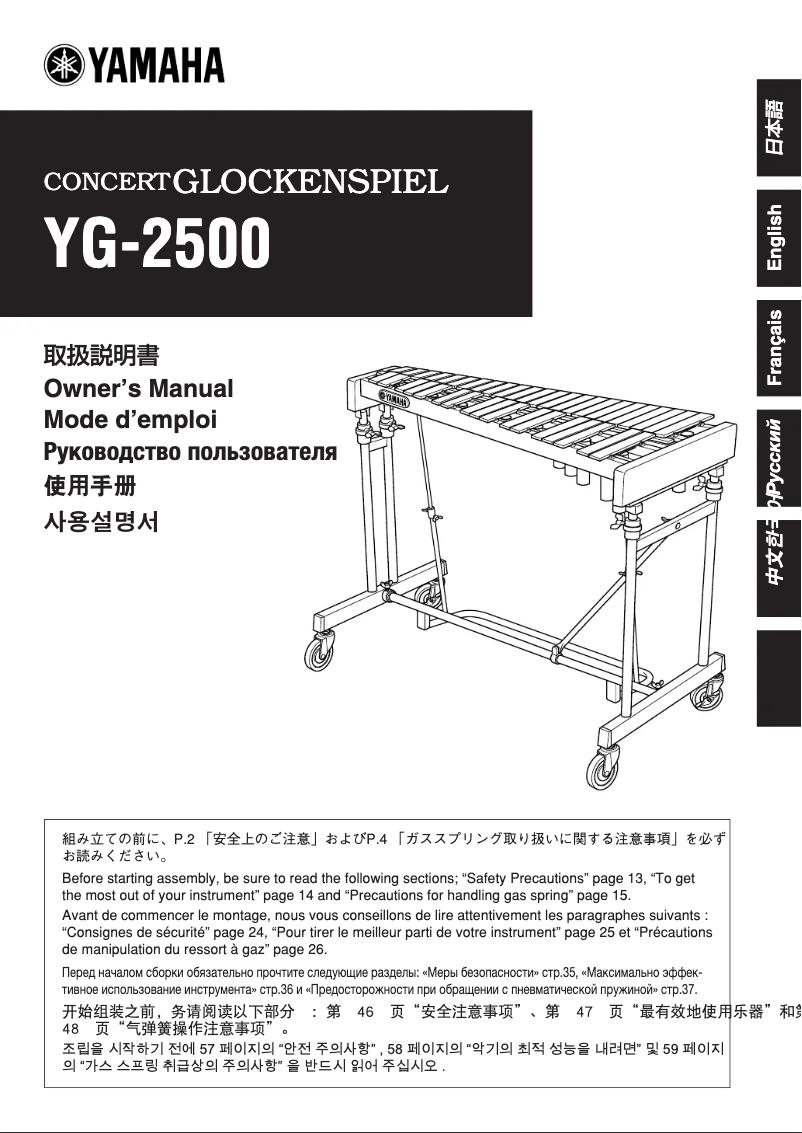 Page 1 de la notice Manuel utilisateur Yamaha YG-2500
