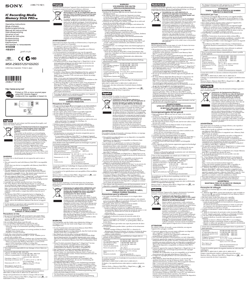Page 1 de la notice Manuel utilisateur Sony MSX-1GS