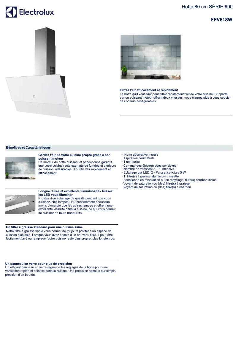 Página 1 del manual Ficha técnica Electrolux EFV618W