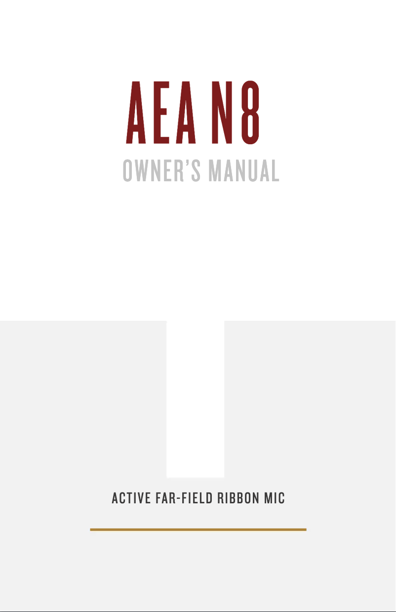 Page 1 de la notice Manuel utilisateur AEA N8