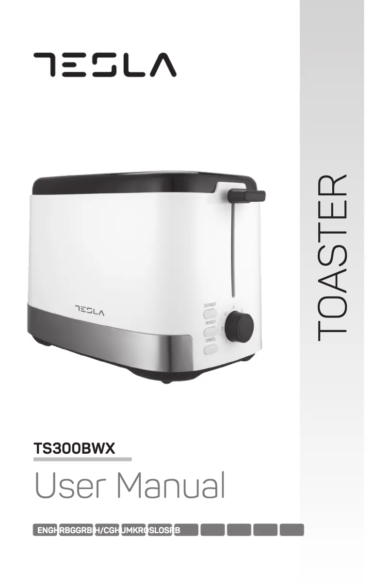 Page 1 de la notice Manuel utilisateur Tesla TS300BWX
