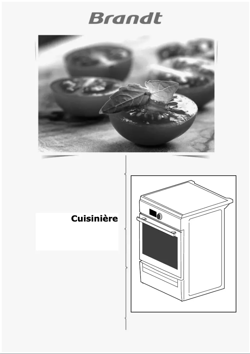Page 1 de la notice Mode d'emploi Brandt BCI6651W