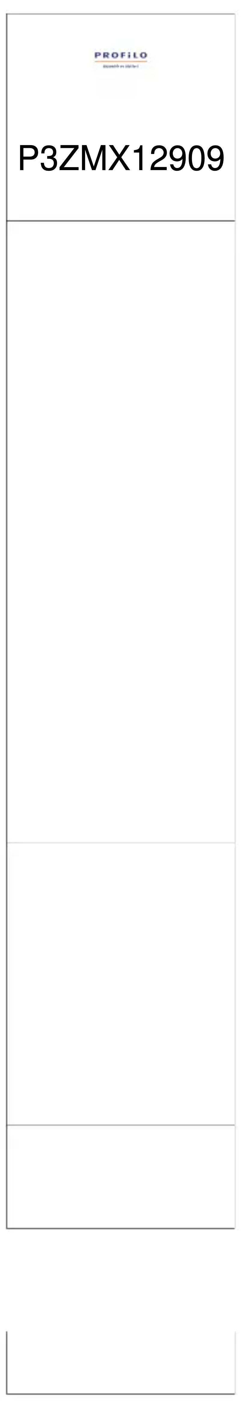 Page 1 de la notice Manuel utilisateur Profilo P3ZMX12909