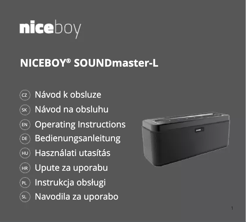 Page 1 de la notice Manuel utilisateur Niceboy SoundMaster-L