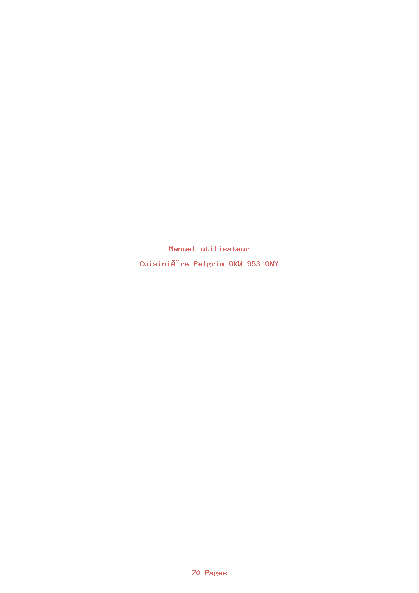 Page 1 de la notice Manuel utilisateur Pelgrim OKW 953 ONY