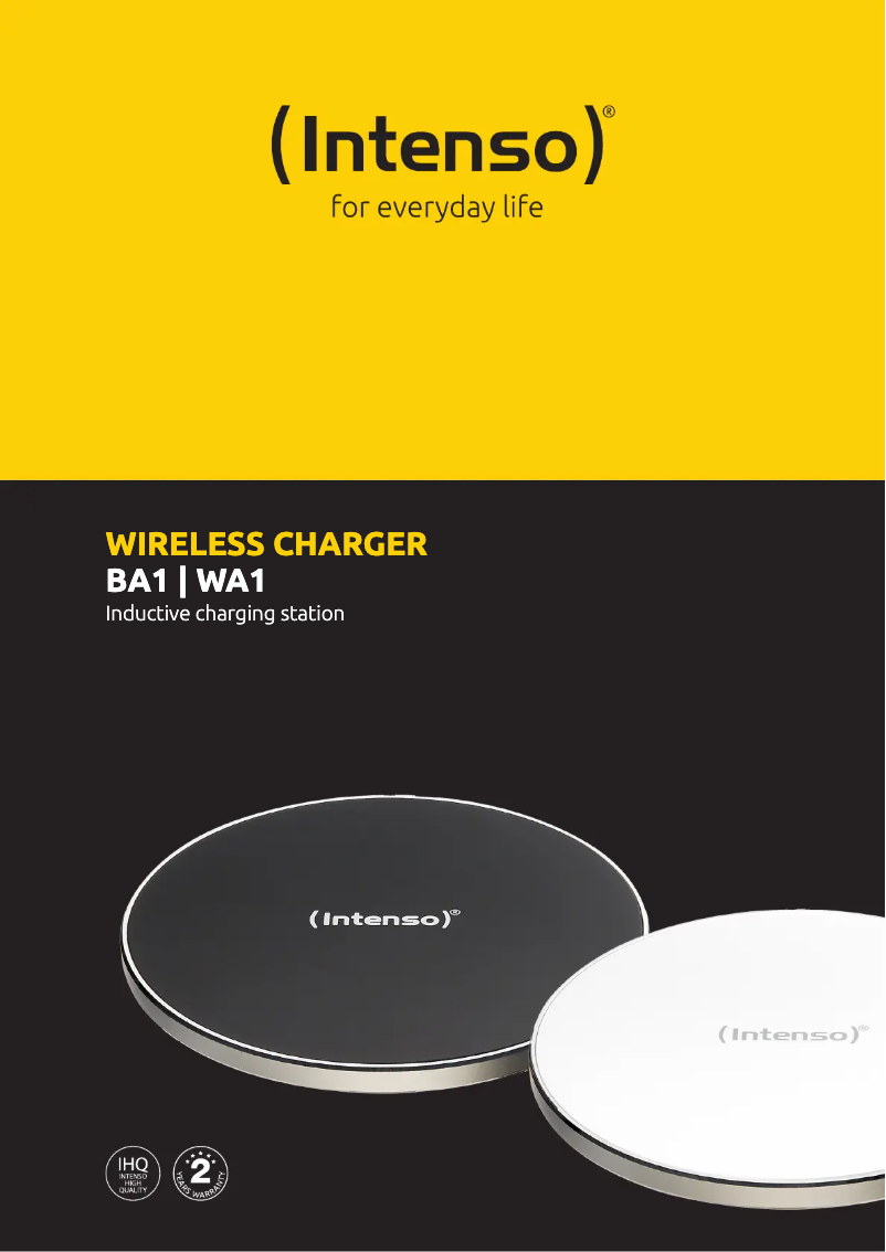 Página 1 del manual Ficha técnica Intenso BA1