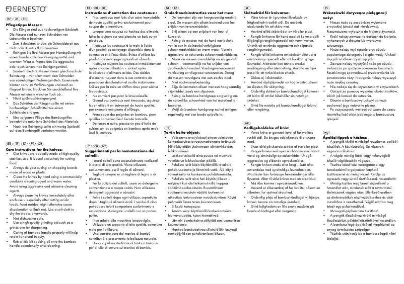Page 1 de la notice Manuel utilisateur Ernesto IAN 279917