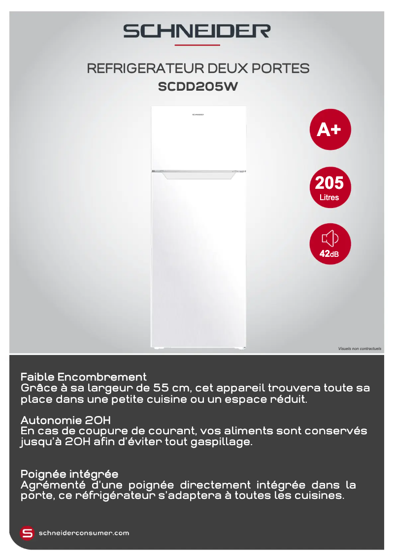 Página 1 del manual Ficha técnica Schneider SCDD205