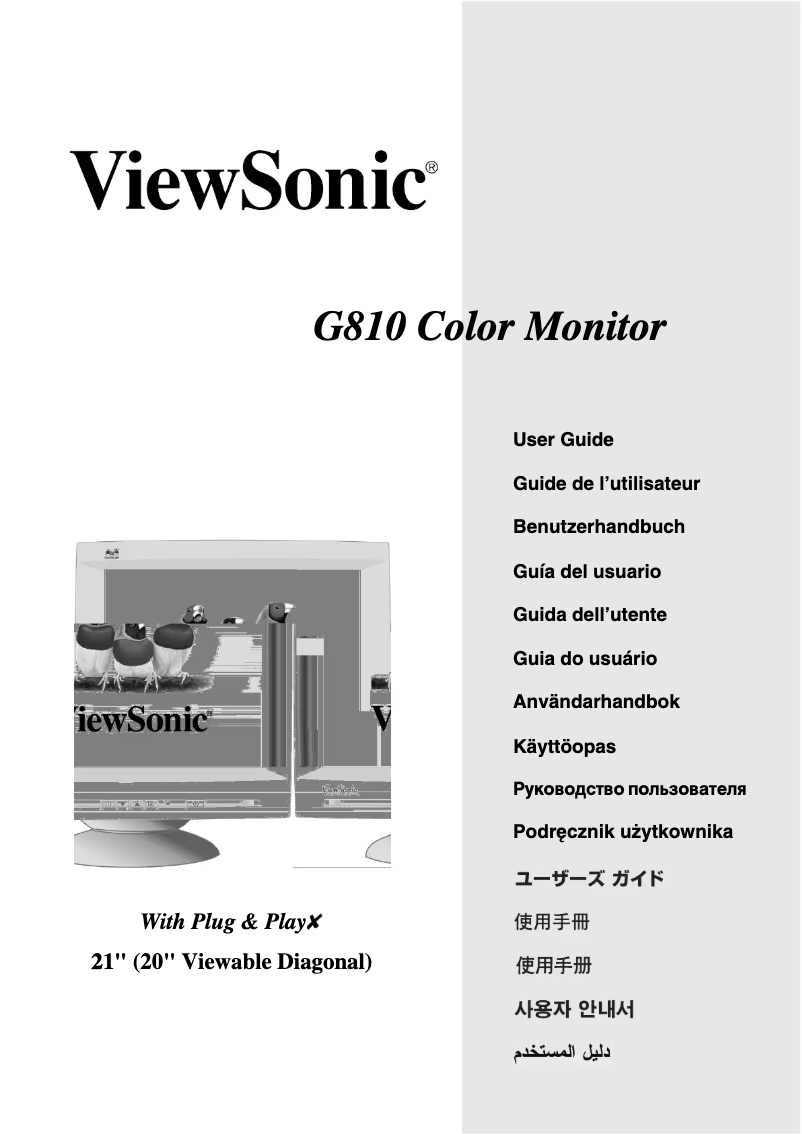 Página 1 del manual Manual de usuario Viewsonic G810