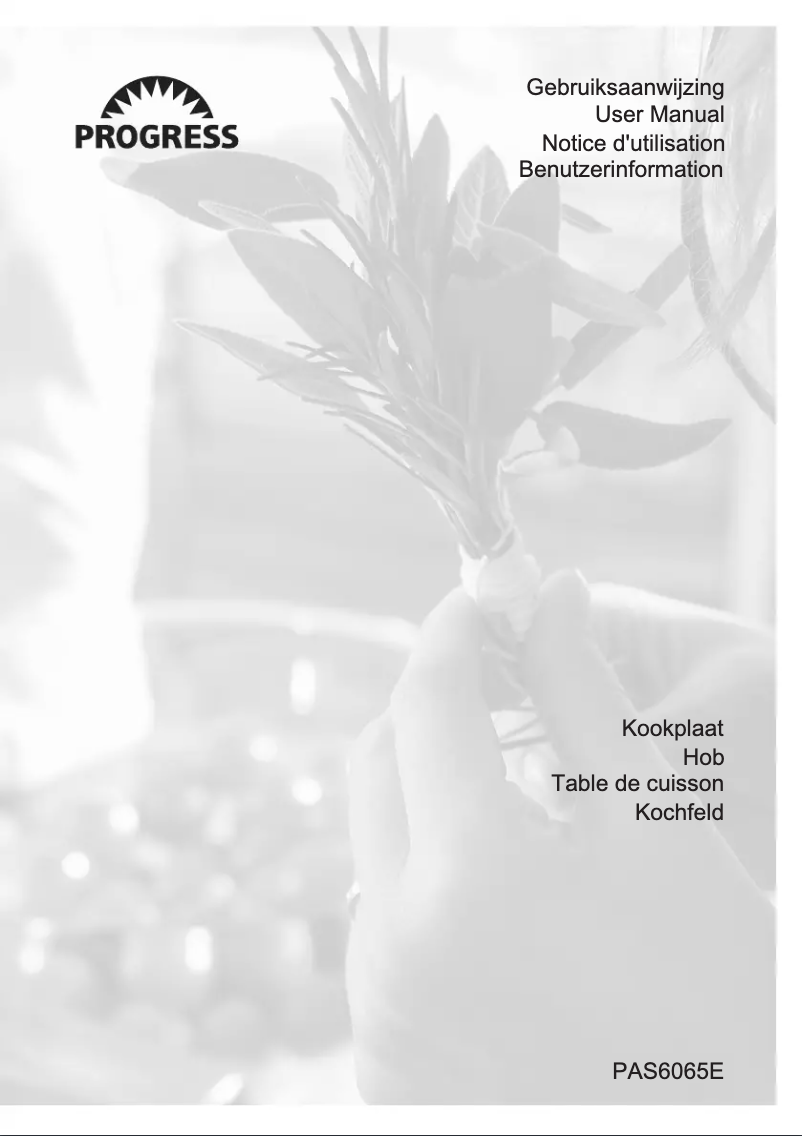 Page 1 de la notice Manuel utilisateur Progress PAS6065E