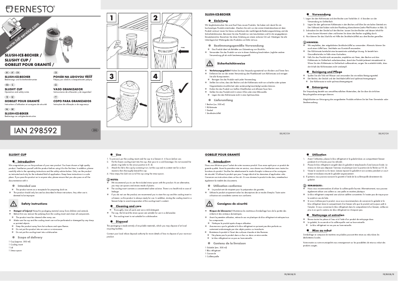 Page 1 de la notice Manuel utilisateur Ernesto HG00995A