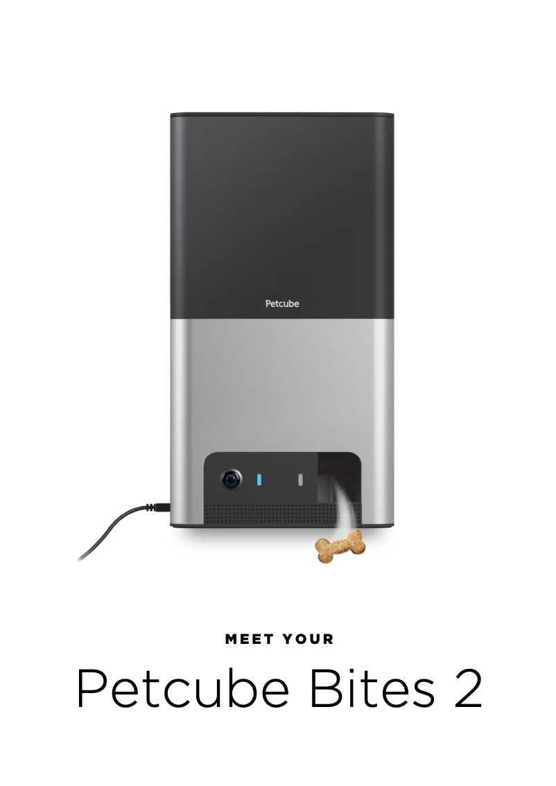 Página 1 del manual Manual de usuario Petcube Bites 2 Lite