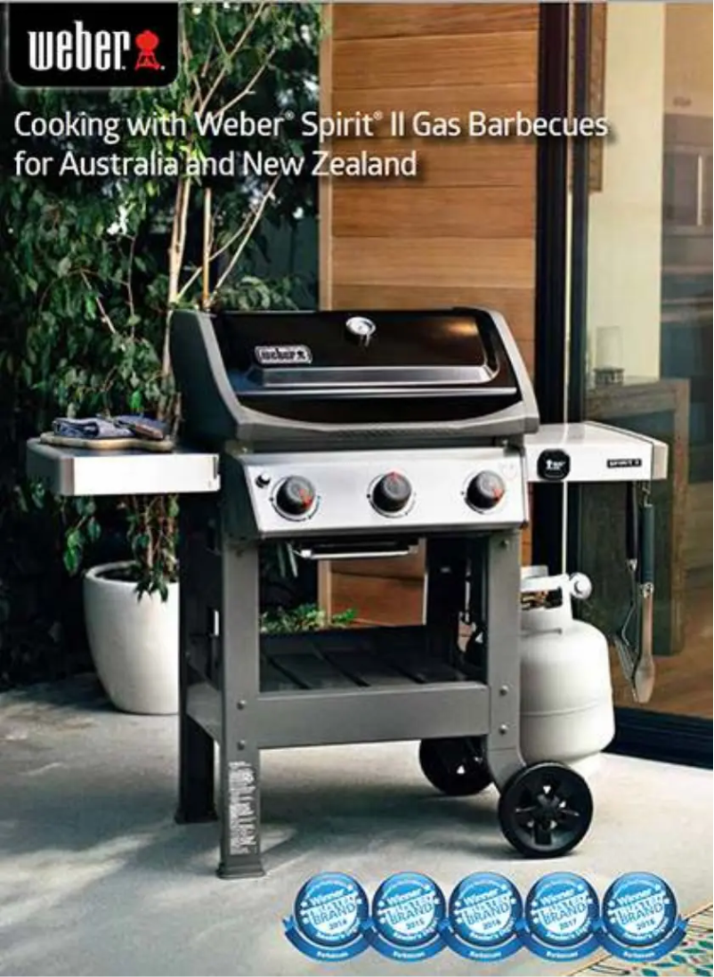 Page 1 de la notice Manuel utilisateur Weber Spirit Original E320 GBS