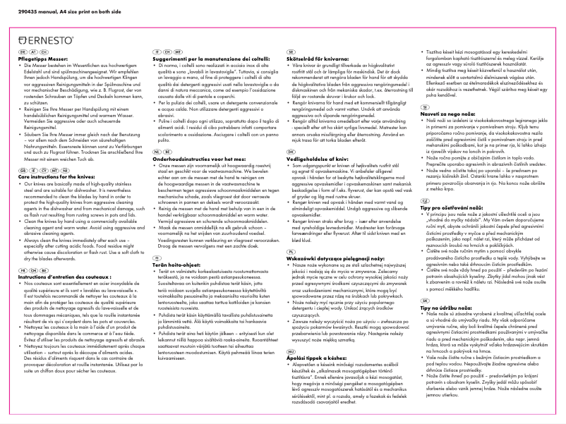 Page 1 de la notice Manuel utilisateur Ernesto IAN 290435
