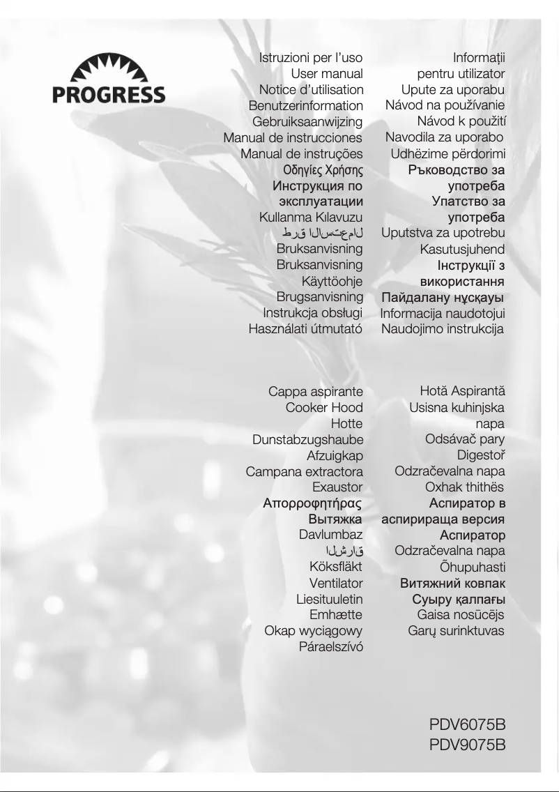 Page 1 de la notice Manuel utilisateur Progress PDV6075B