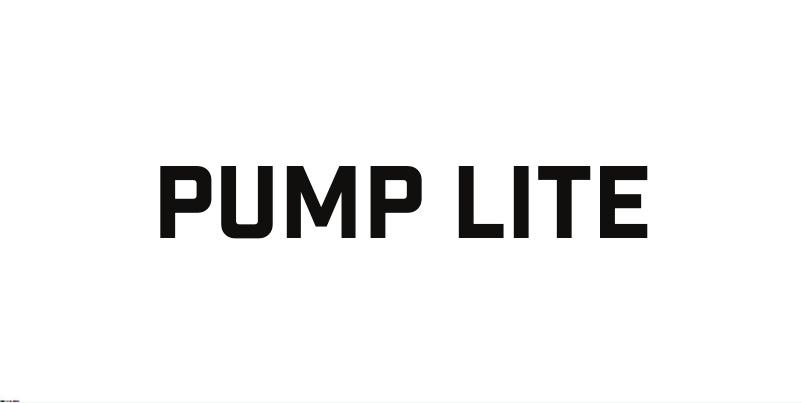 Page 1 of the manual User Manual BlueAnt Pump Lite