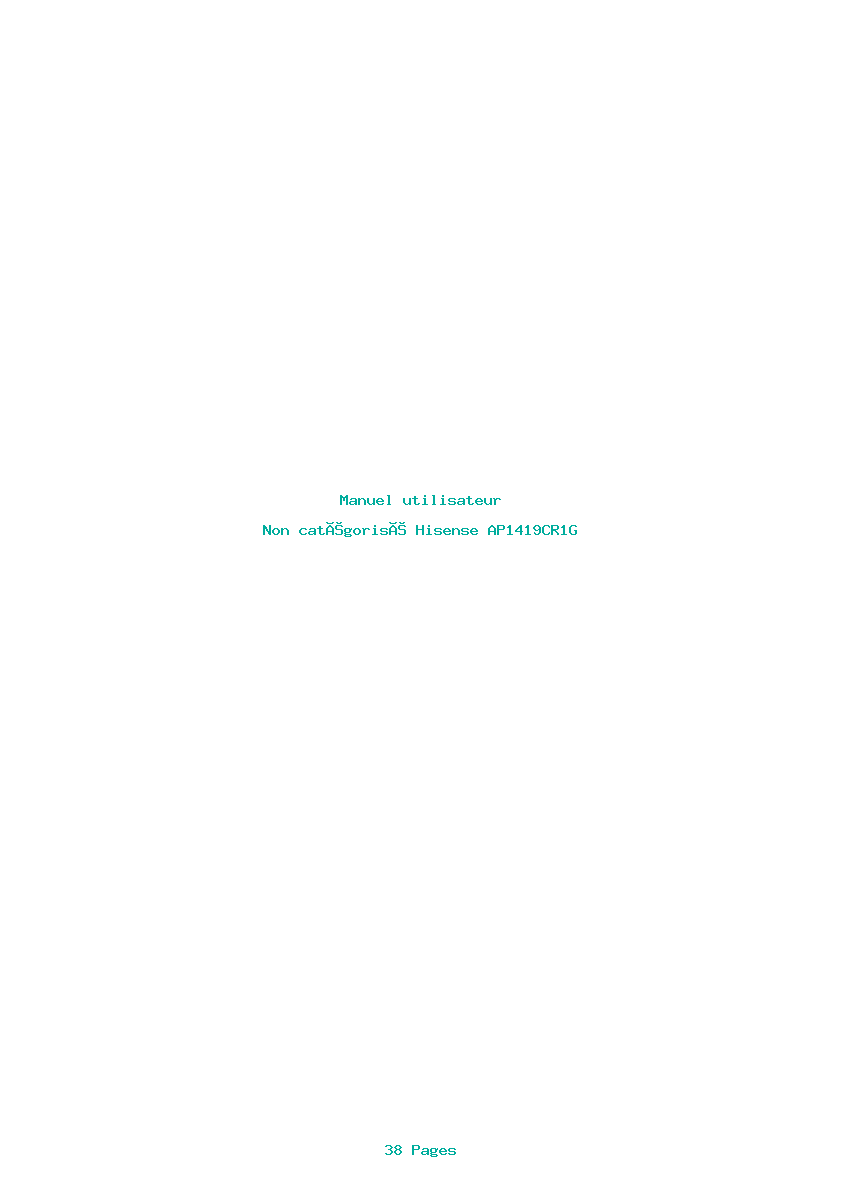 Page 1 de la notice Manuel utilisateur Hisense AP1419CR1G