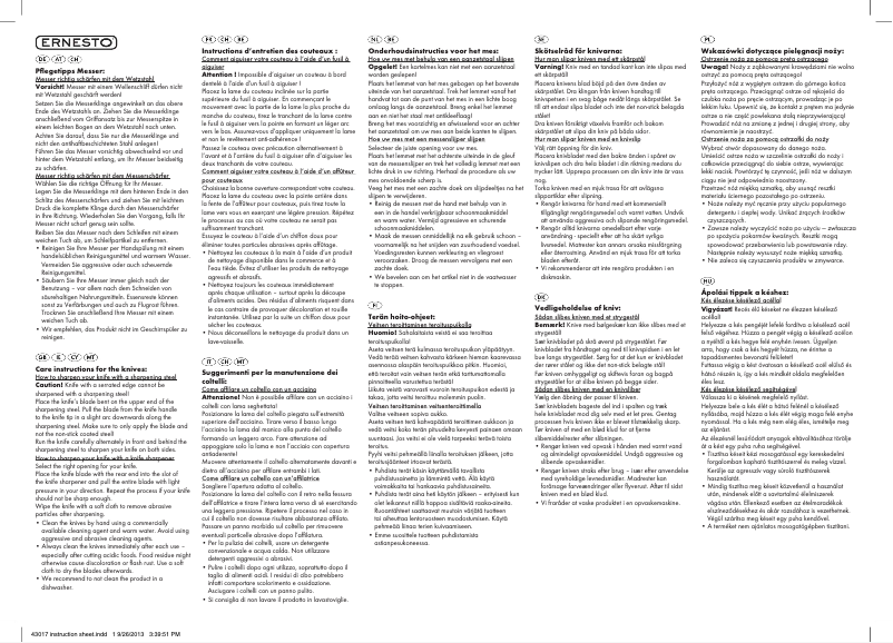 Page 1 de la notice Manuel utilisateur Ernesto Z31830A