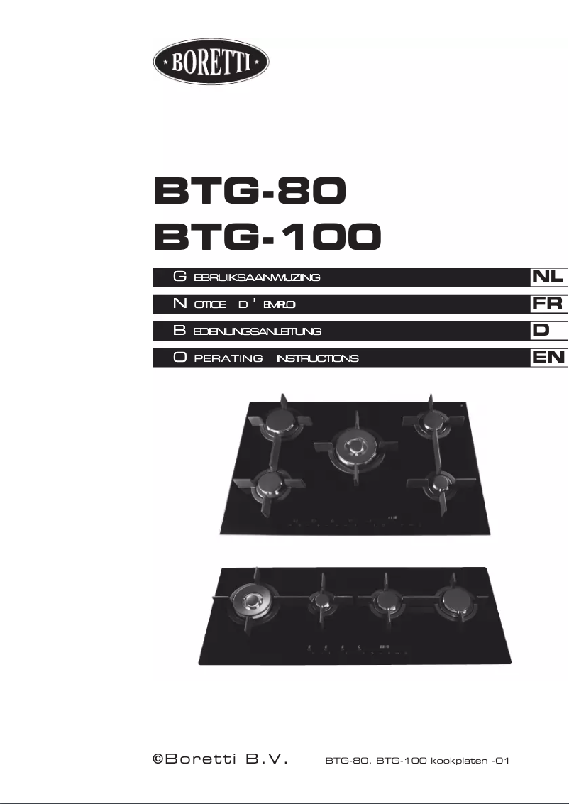 Page 1 de la notice Manuel utilisateur Boretti BTG100