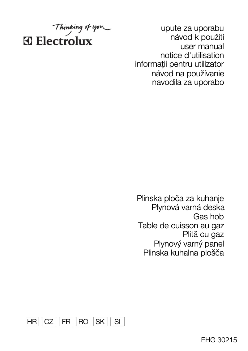 Page 1 de la notice Manuel utilisateur Electrolux EHG30215