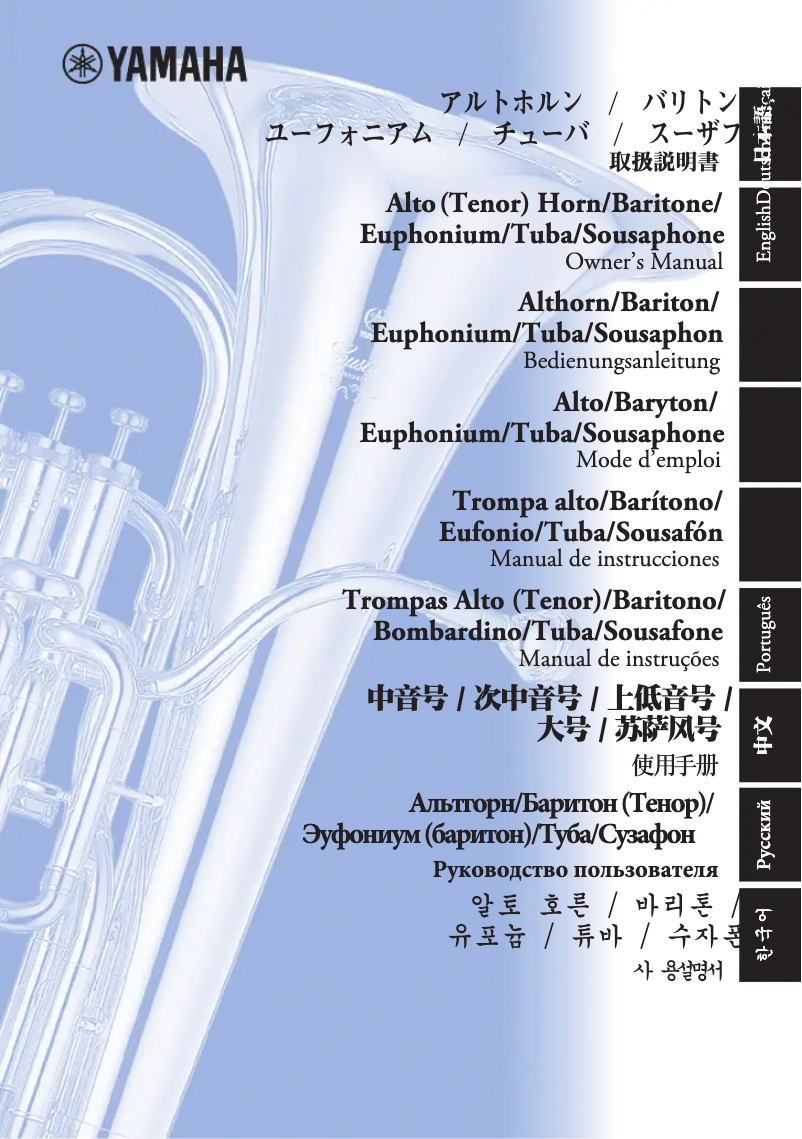 Page 1 de la notice Manuel utilisateur Yamaha YEB201