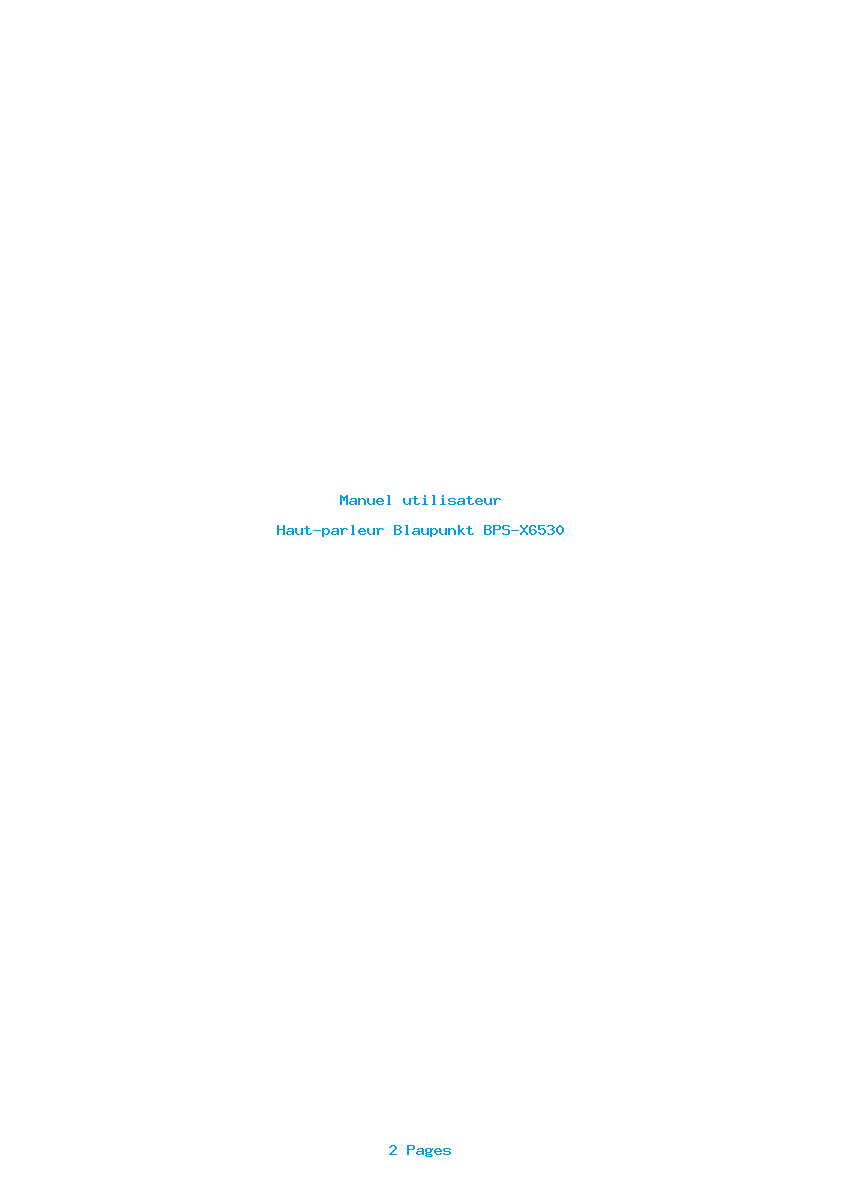 Page 1 de la notice Manuel utilisateur Blaupunkt BPS-X6530