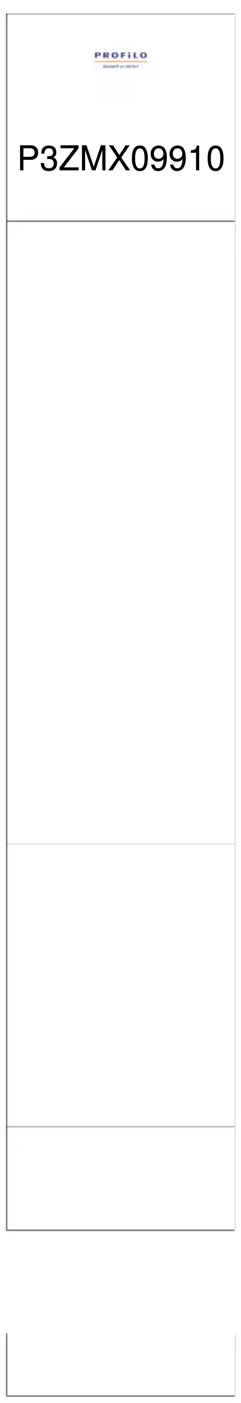 Page 1 de la notice Manuel utilisateur Profilo P3ZMX09910