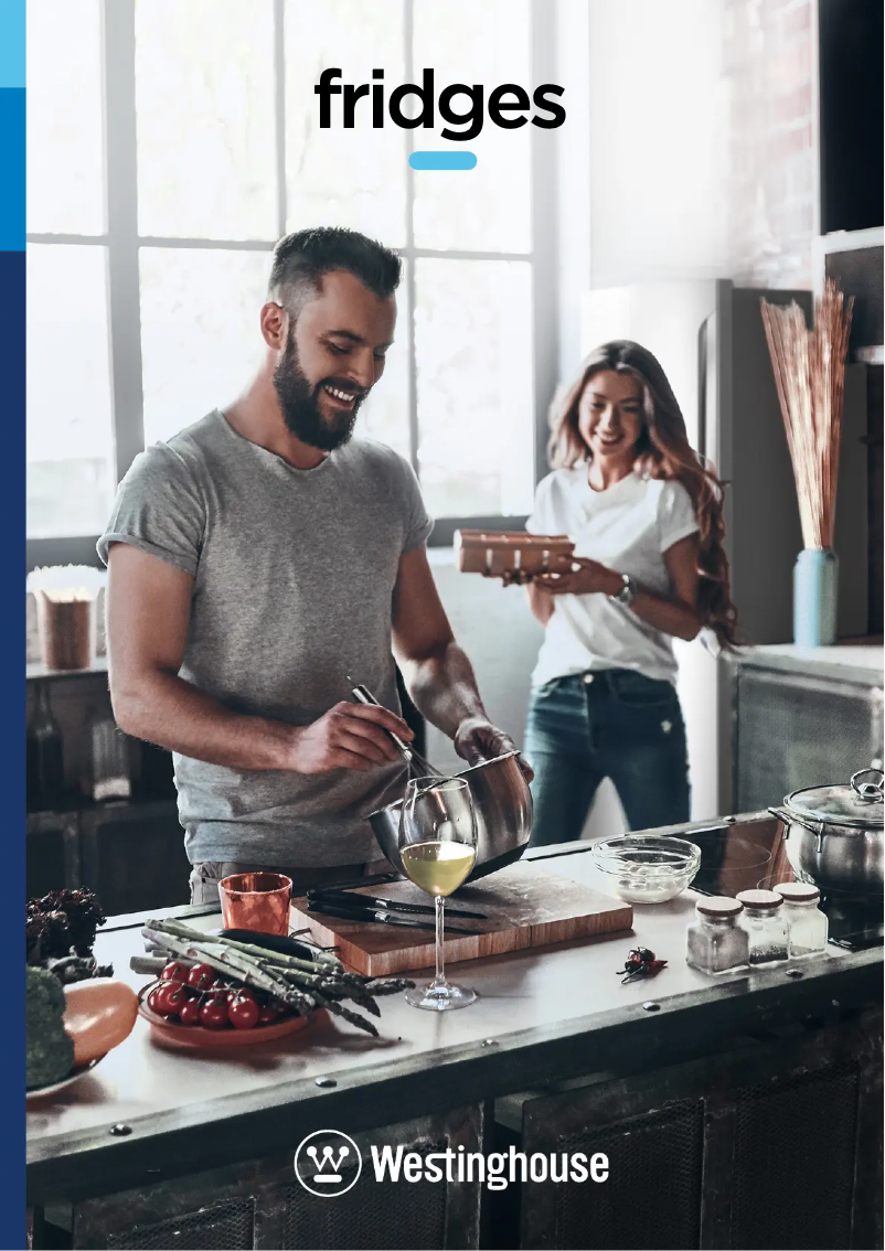 Page 1 de la notice Brochure Westinghouse WTB3100AK