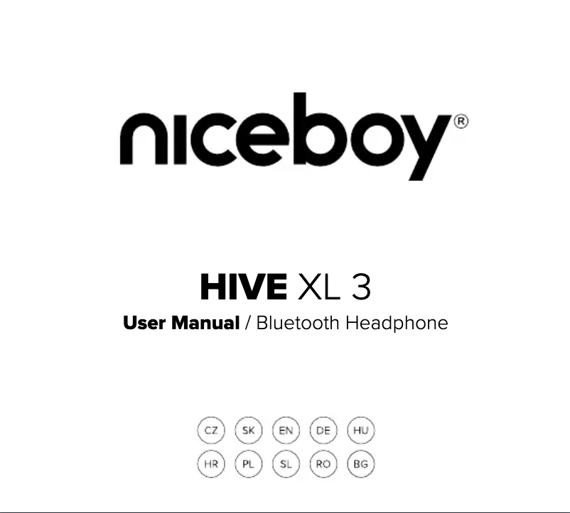 Page 1 de la notice Manuel utilisateur Niceboy HIVE XL 3