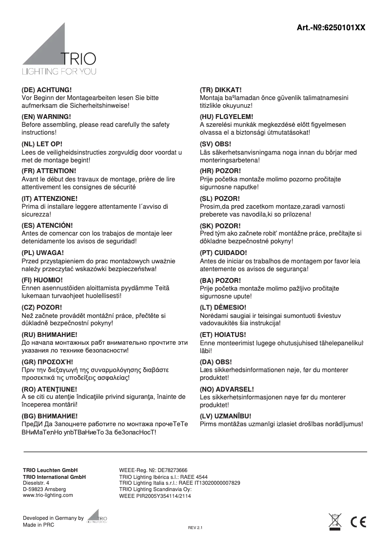 Page 1 de la notice Manuel utilisateur Trio Lighting Carrera 625010132