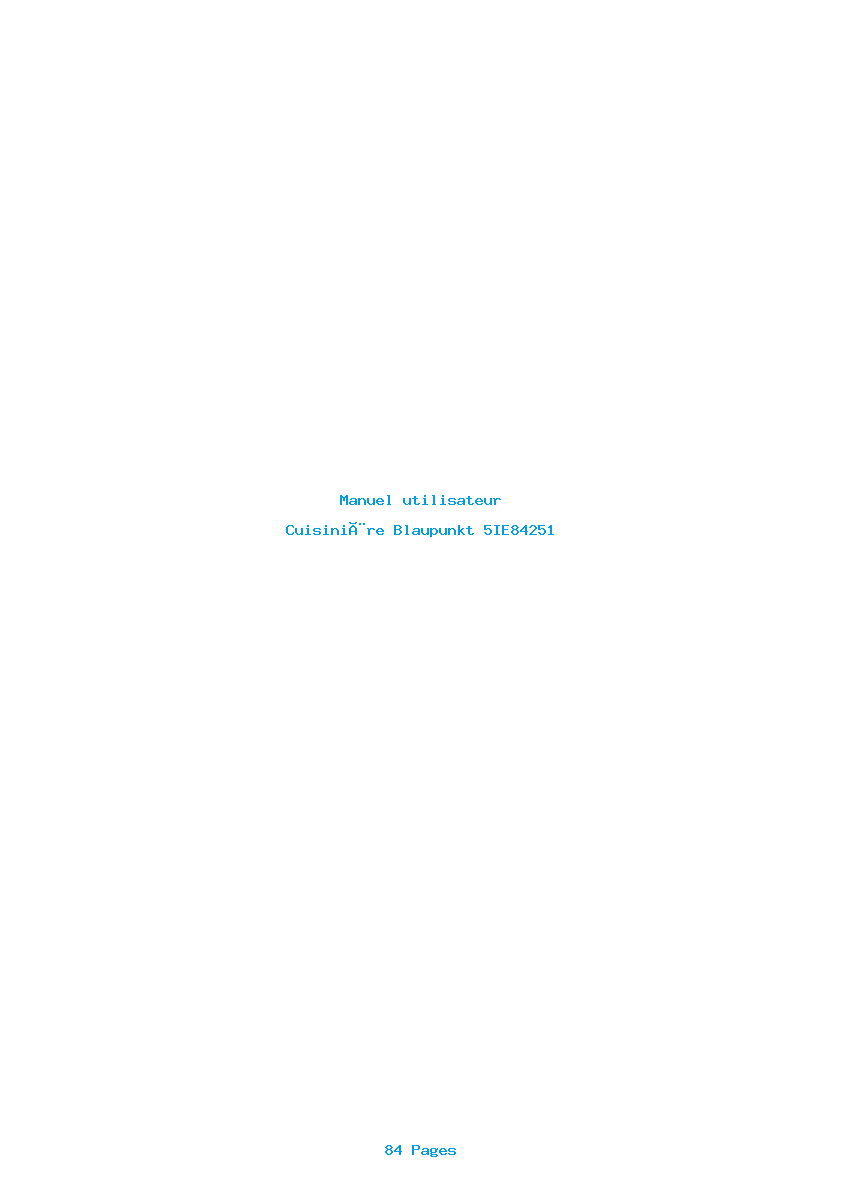 Page 1 de la notice Manuel utilisateur Blaupunkt 5IE84251