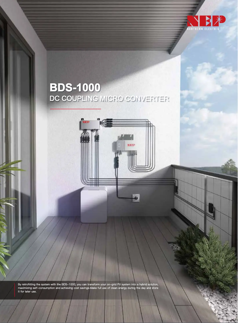 Página 1 del manual Ficha técnica NEP BDS-1000