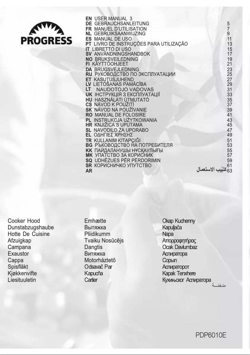 Page 1 de la notice Manuel utilisateur Progress PDP6010E
