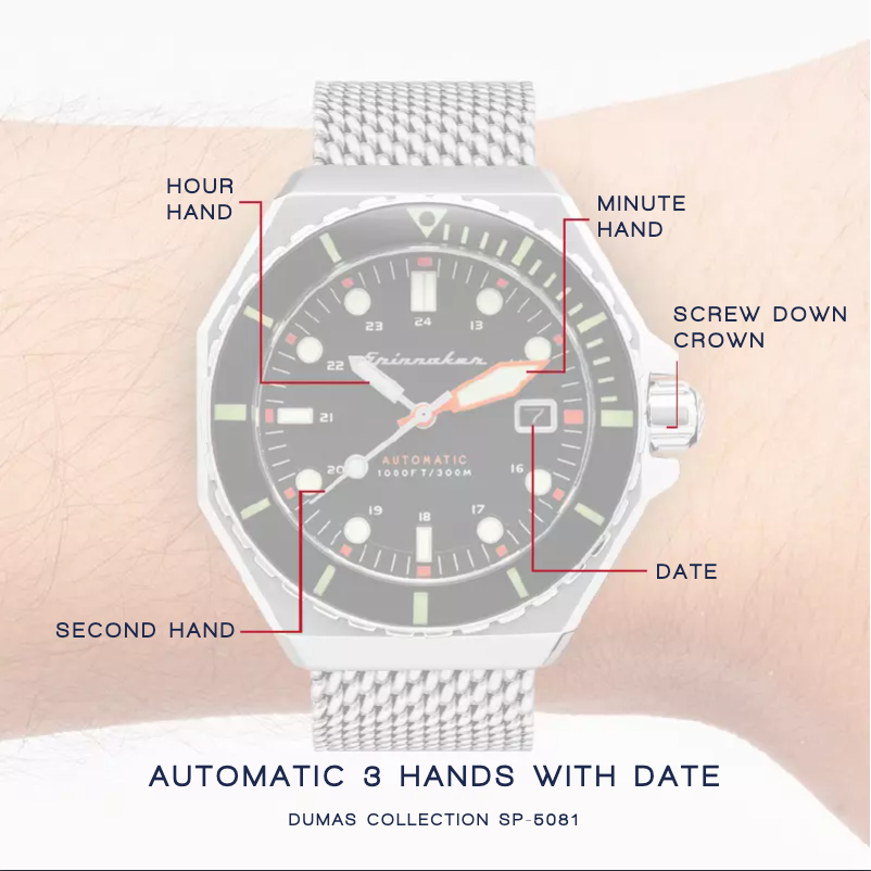 Page 1 de la notice Manuel utilisateur Spin Master Dumas SP-5081-11