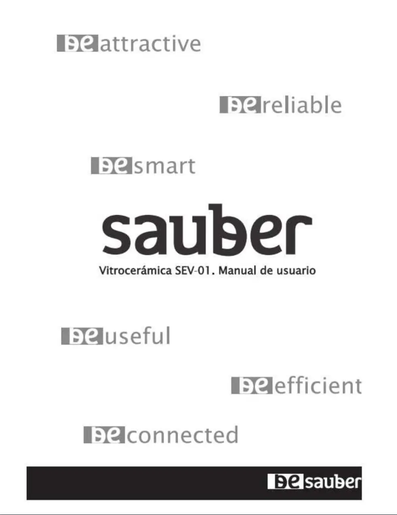 Página 1 del manual Manual de usuario Sauber SEV-01