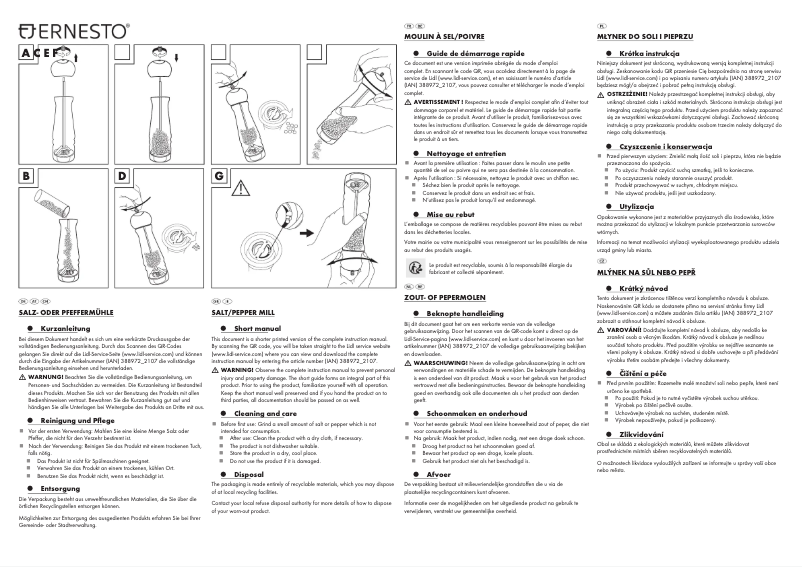 Page 1 de la notice Manuel utilisateur Ernesto HG08844A