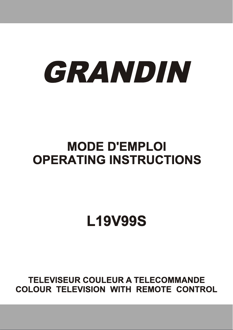 Page 1 of the manual User Manual Grandin L19V99S
