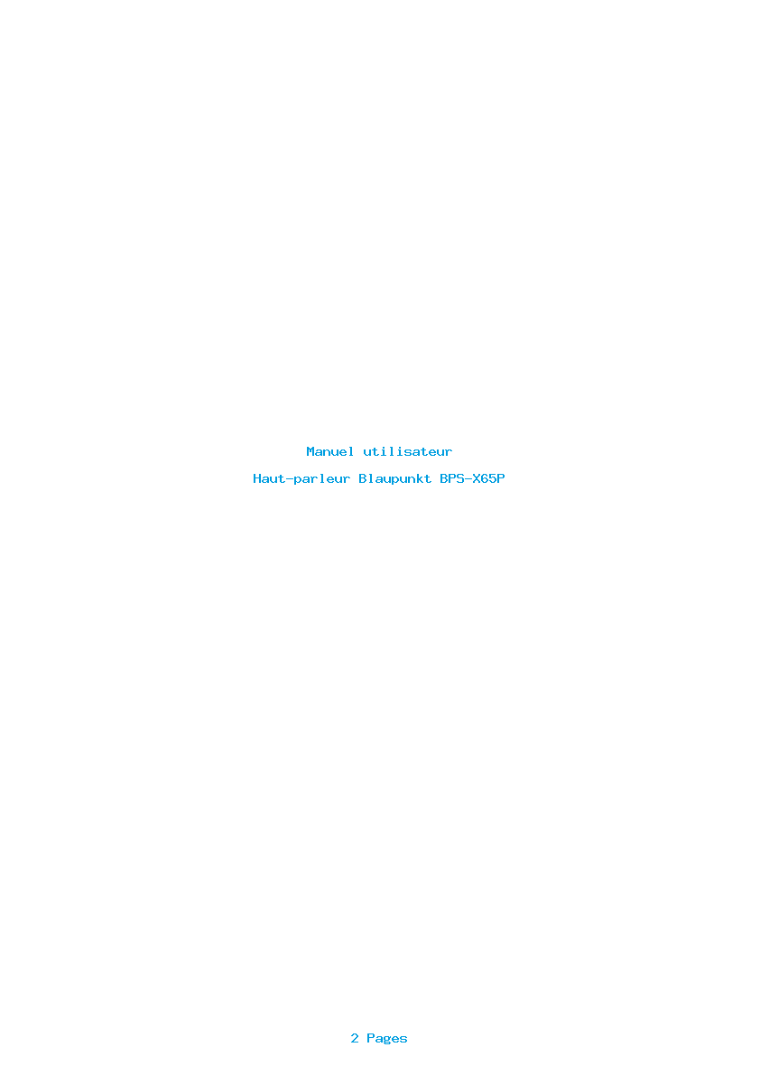 Page 1 de la notice Manuel utilisateur Blaupunkt BPS-X65P