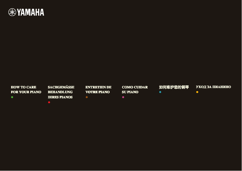 Página 1 del manual Manual de usuario Yamaha A1