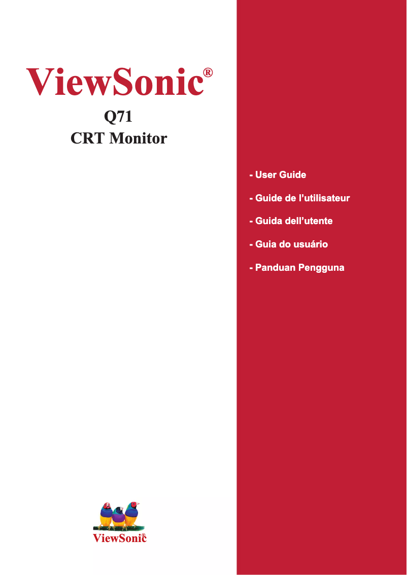 Página 1 del manual Manual de usuario Viewsonic Optiquest Q71