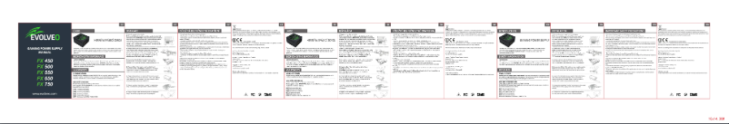 Page 1 de la notice Manuel utilisateur Evolveo FX 450