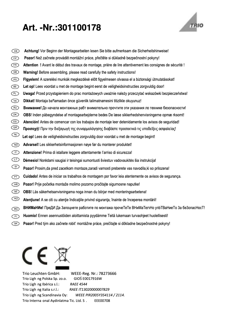 Page 1 de la notice Manuel utilisateur Trio Lighting Roddik