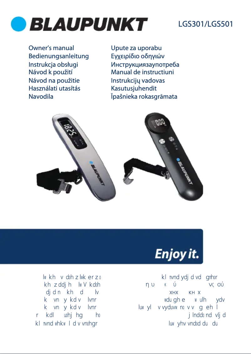 Page 1 de la notice Manuel utilisateur Blaupunkt LGS301