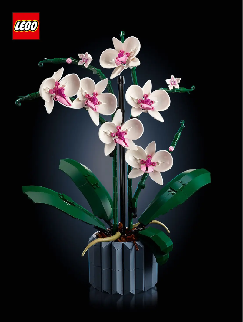 Page 1 de la notice Manuel utilisateur Lego 10311