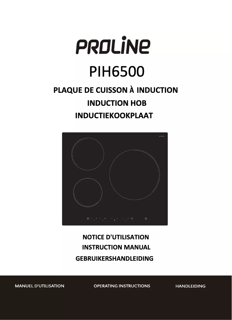 Page 1 de la notice Manuel utilisateur Proline PIH6500